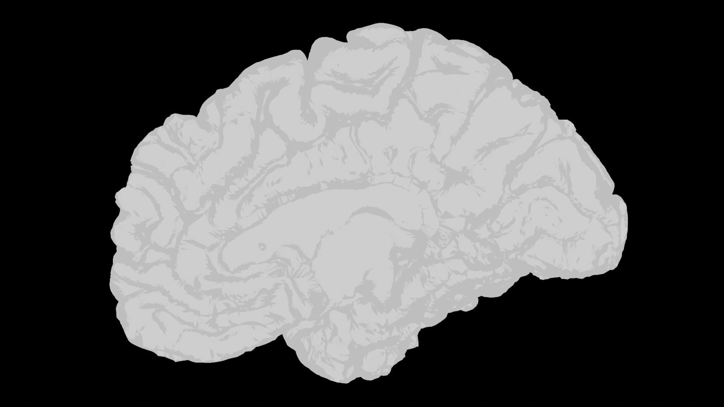 The Role of Universal Patterns in Understanding Reality