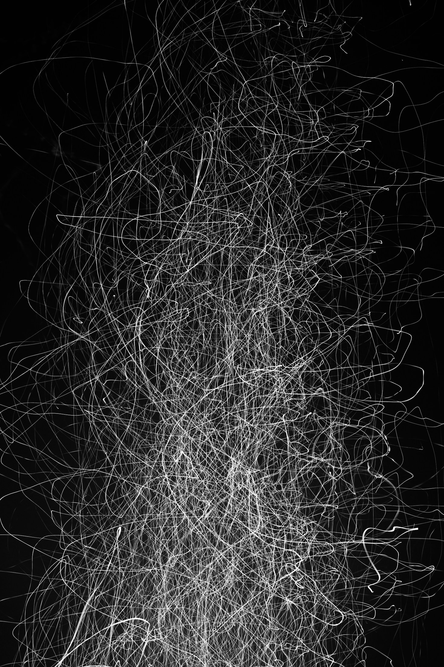 Exploring Phase Transitions Across Scientific Disciplines