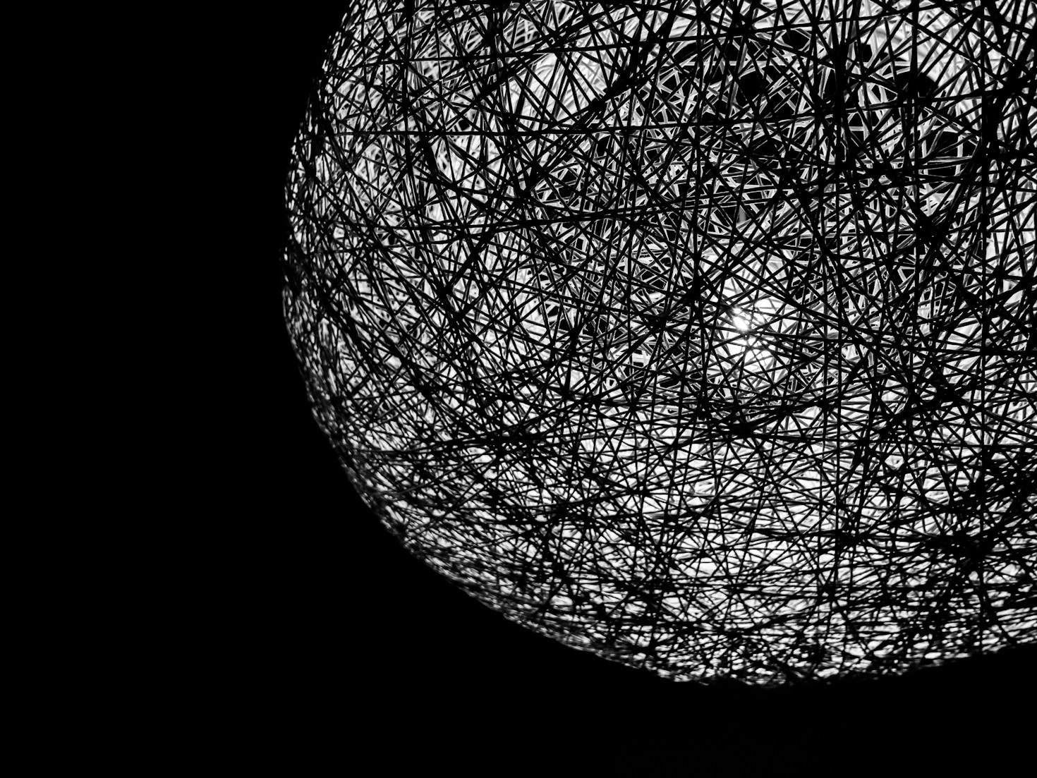 Documenting the Dynamics of Universality in Science